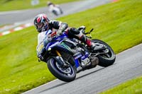 anglesey;brands-hatch;cadwell-park;croft;donington-park;enduro-digital-images;event-digital-images;eventdigitalimages;mallory;no-limits;oulton-park;peter-wileman-photography;racing-digital-images;silverstone;snetterton;trackday-digital-images;trackday-photos;vmcc-banbury-run;welsh-2-day-enduro